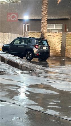 جيب رينيجيد